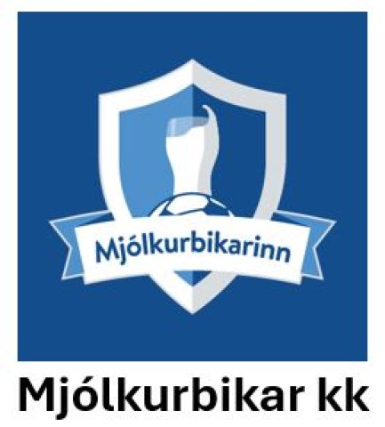 Mjólkurbikarinn KK